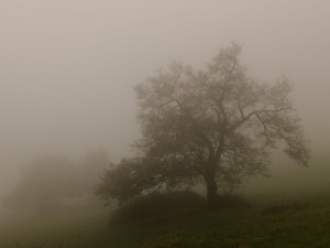 Paolo Bongianino, In the fog 2
