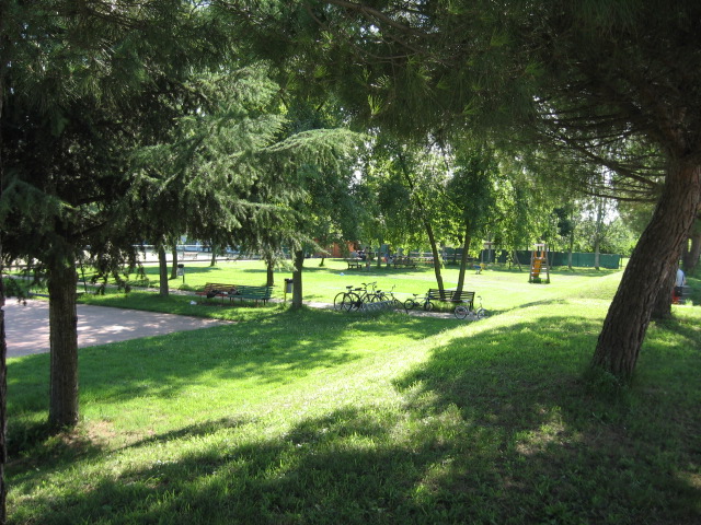 arton17658