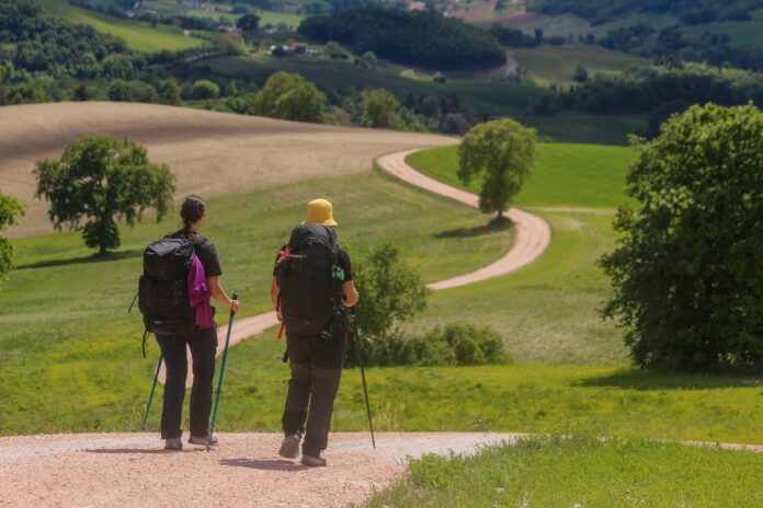 Collina dei ciliegi - Comune di San Severino Marche