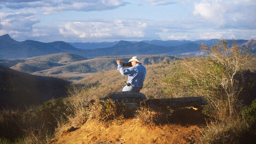 salgado