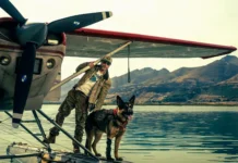 “Heart Of The Beast – Nel profondo Selvaggio” di David Ayer
